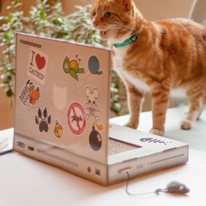 Laptop-Style Cat Scratcher Pad