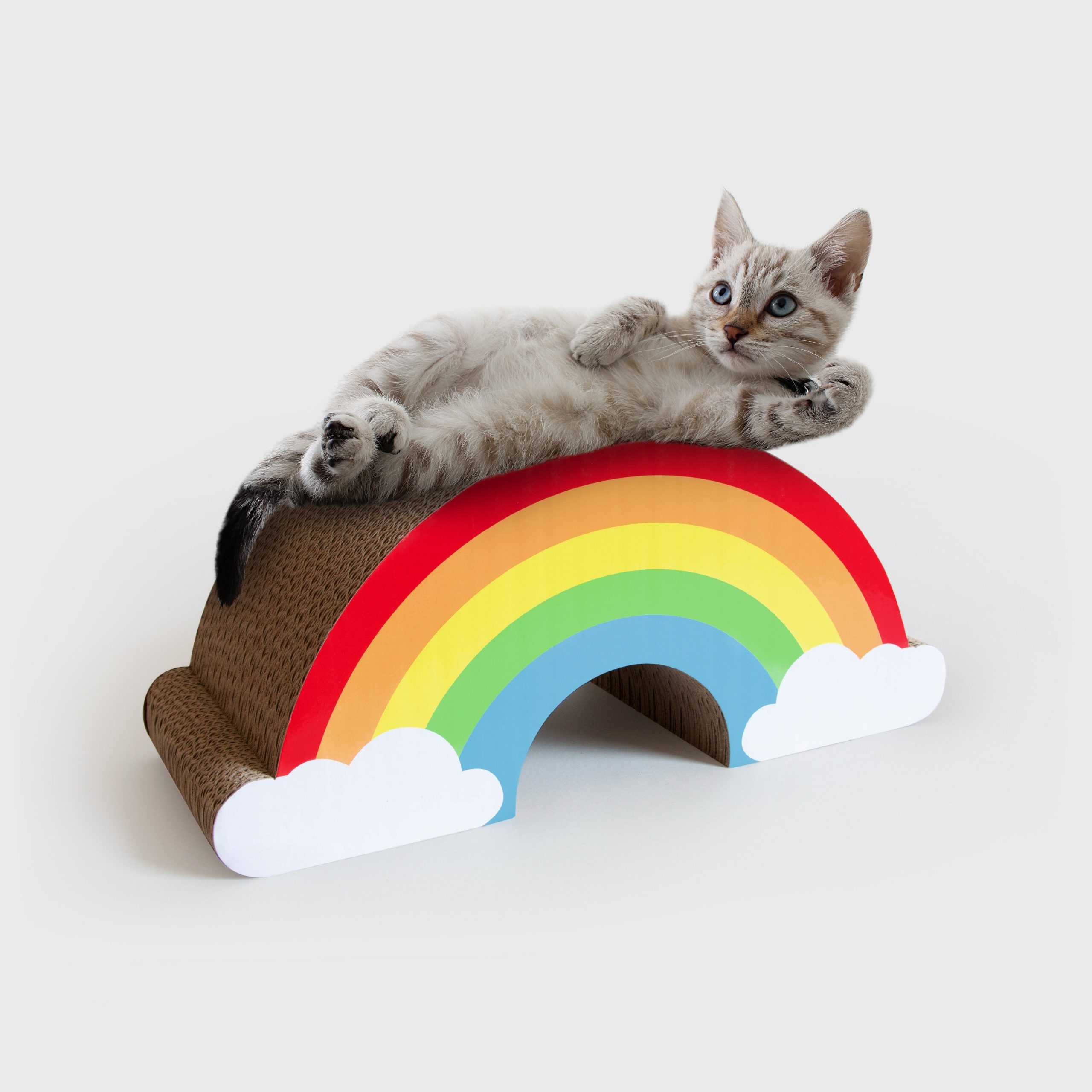 Rainbow Cat Scratcher Lounge