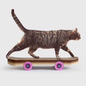 Skateboard-Style Cat Scratcher Lounge