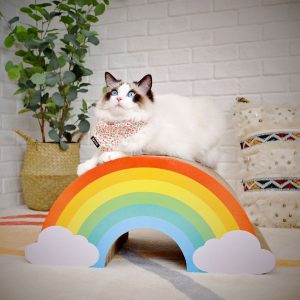 Rainbow Cat Scratcher Lounge