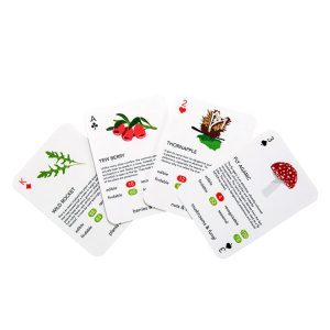 Forager Illustration Playing Cards