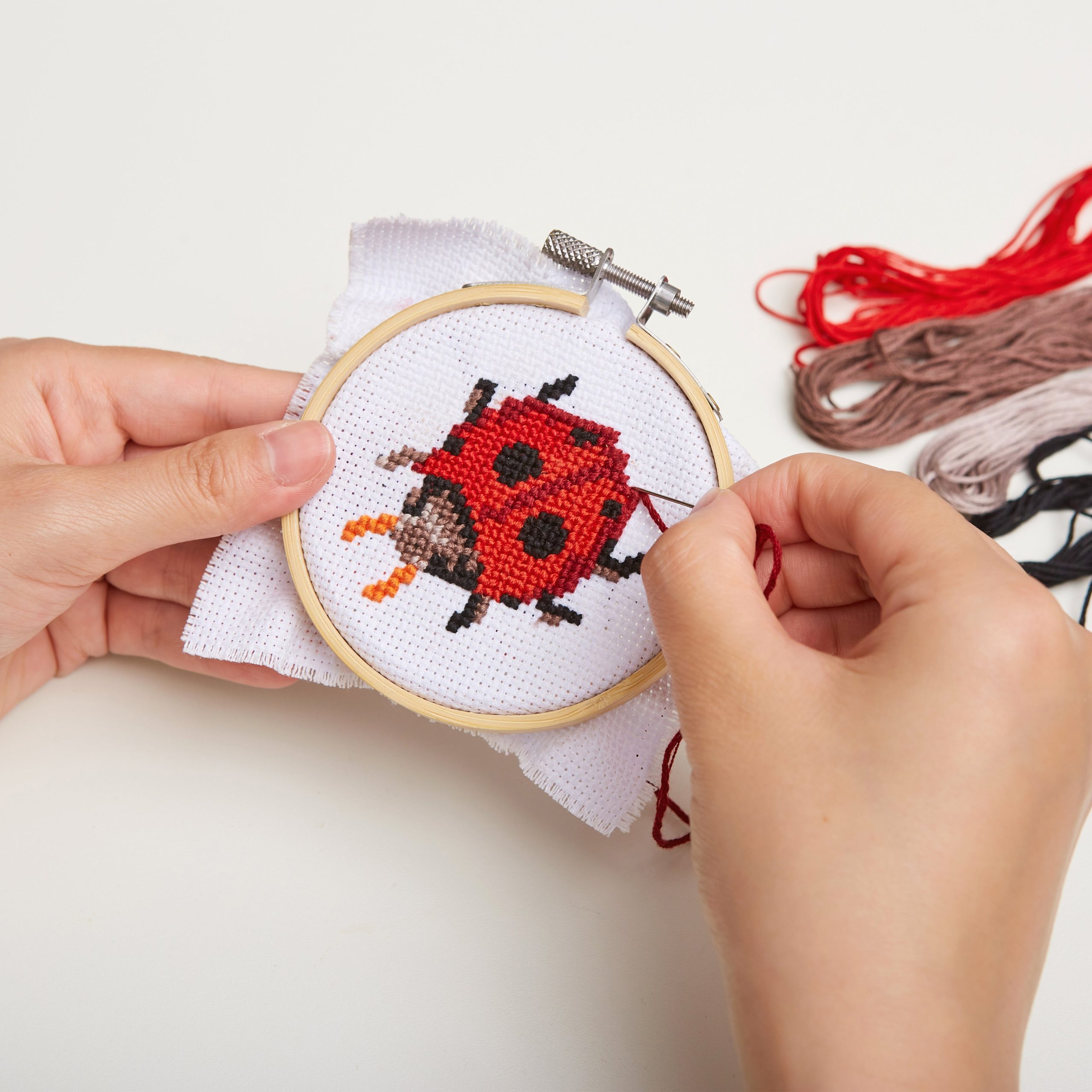 Ladybug Mini Cross-Stitch Kit