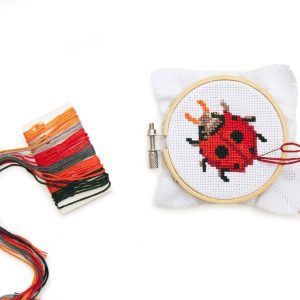 Ladybug Mini Cross-Stitch Kit Ladybug Mini Cross-Stitch Kit