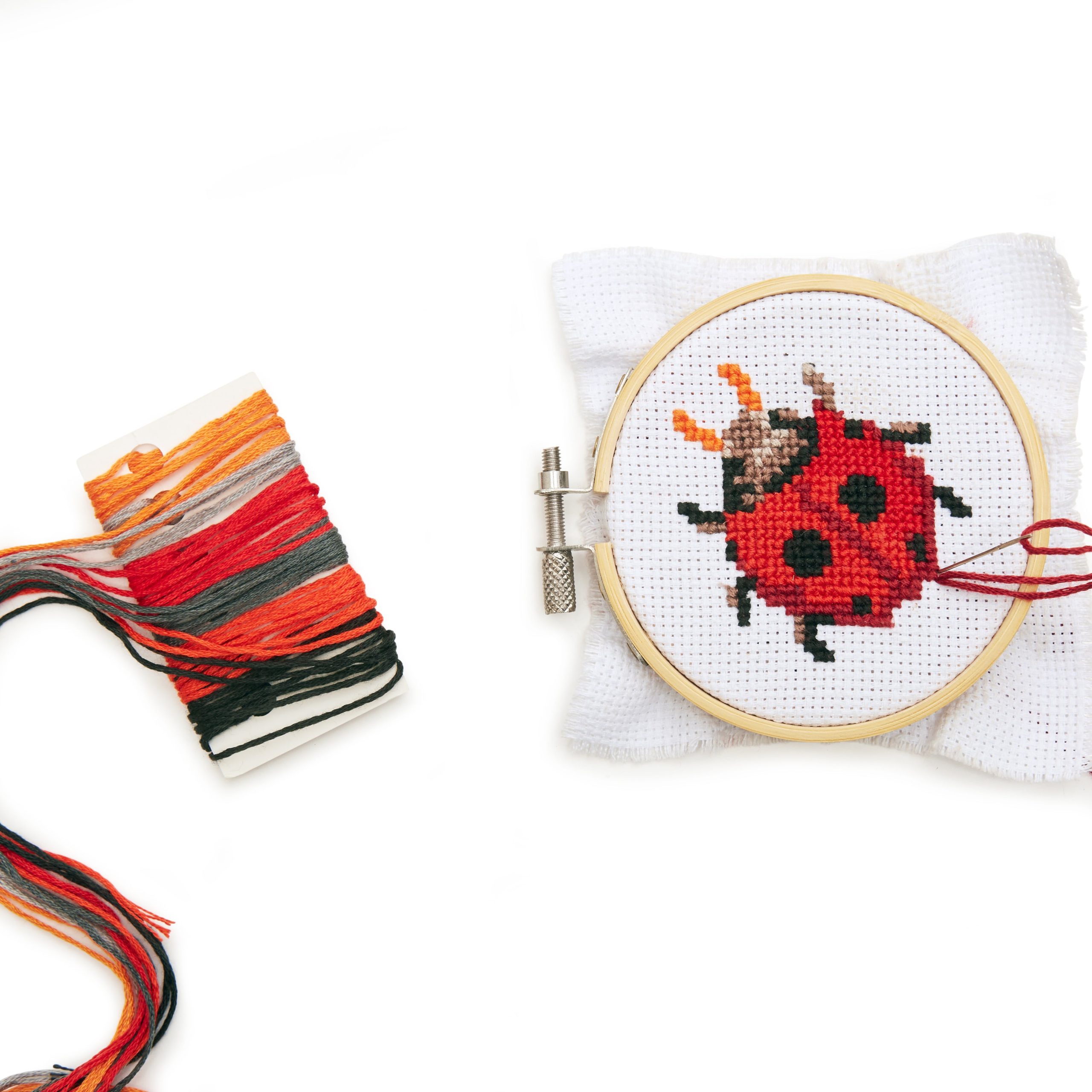 Ladybug Mini Cross-Stitch Kit