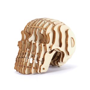Anatomy-Inspired 3D Wooden Puzzle