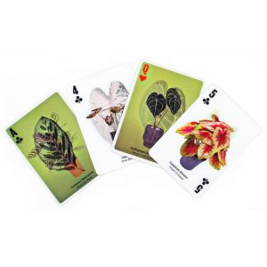 3D Plant Illustration Playing Cards