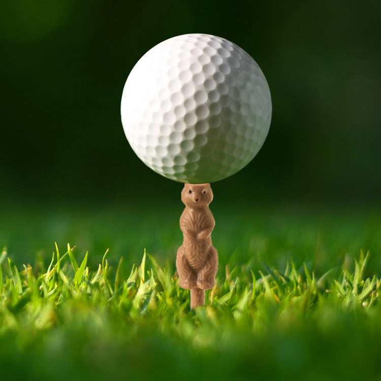 Gopher Golf Tee Holder