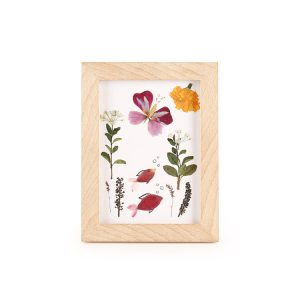 Pressed Flower Frame Art Kit Pressed Flower Frame Art Kit