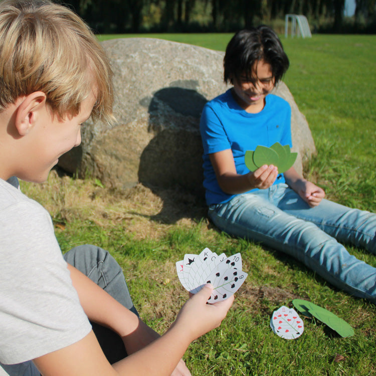 Leaf Study Activity Cards
